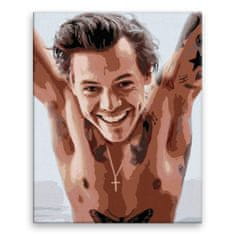 Malujsi Malování podle čísel - Harry Styles 01 - 80x100 cm, bez dřevěného rámu