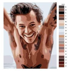 Malujsi Malování podle čísel - Harry Styles 01 - 80x100 cm, bez dřevěného rámu