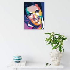 Malujsi Malování podle čísel - Elvis Presley 01 - 60x80 cm, plátno vypnuté na rám