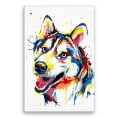 Malujsi Malování podle čísel - Husky v barvách - 80x120 cm, bez dřevěného rámu