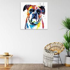 Malujsi Malování podle čísel - Boxer v barvách - 80x100 cm, plátno vypnuté na rám