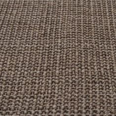 Petromila Koberec přírodní sisal 80 x 150 cm hnědý