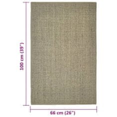 Greatstore Koberec přírodní sisal 66 x 100 cm taupe