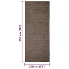 Greatstore Koberec přírodní sisal 100 x 250 cm hnědý