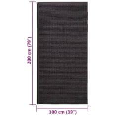 Greatstore Koberec přírodní sisal 100 x 200 cm černý