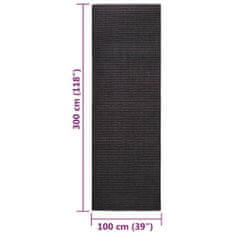 Petromila Koberec přírodní sisal 100 x 300 cm černý