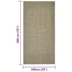 Greatstore Koberec přírodní sisal 100 x 200 cm taupe