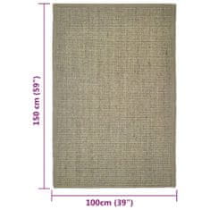 Greatstore Koberec přírodní sisal 100 x 150 cm taupe