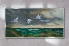 COLORAY.CZ Obraz na skle Sea Sky Birds labutě 100x50 cm