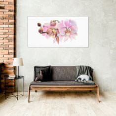 COLORAY.CZ Obraz na skle Akvarel orchidej květina 100x50 cm