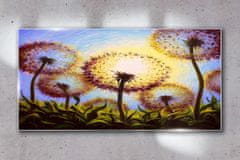COLORAY.CZ Obraz na skle Abstrakce květiny tupé 120x60 cm