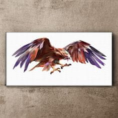 COLORAY.CZ Obraz na plátně Zvířecí pták Eagle 120x60 cm