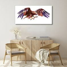 COLORAY.CZ Obraz na plátně Zvířecí pták Eagle 120x60 cm