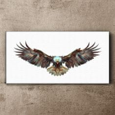 COLORAY.CZ Obraz na plátně Zvířecí pták Eagle 120x60 cm