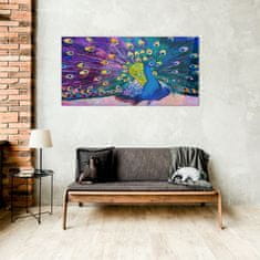 COLORAY.CZ Obraz na skle Zvířecí pták páv peří 100x50 cm