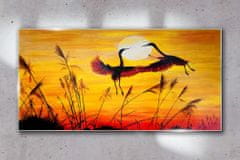 COLORAY.CZ Obraz na skle Zvířata Birds Sunset 100x50 cm