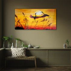 COLORAY.CZ Obraz na skle Zvířata Birds Sunset 100x50 cm