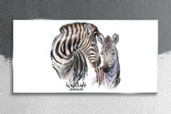 COLORAY.CZ Obraz na skle Zebra Animal Strips 120x60 cm