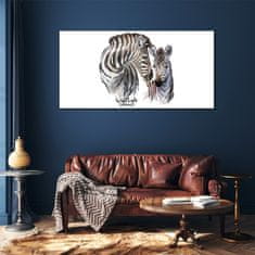 COLORAY.CZ Obraz na skle Zebra Animal Strips 120x60 cm