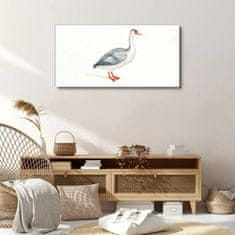 COLORAY.CZ Obraz na plátně Zvířecí pták husa 100x50 cm