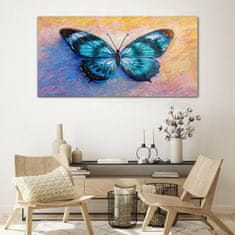 COLORAY.CZ Obraz na skle Butterfly hmyz barevný 120x60 cm