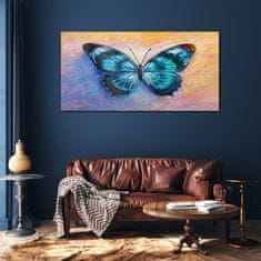 COLORAY.CZ Obraz na skle Butterfly hmyz barevný 120x60 cm