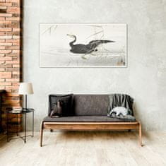 COLORAY.CZ Obraz na skle Asie Lake Animal Bird 100x50 cm