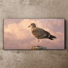 COLORAY.CZ Obraz na plátně Zvířecí pták Seagull Sky 100x50 cm