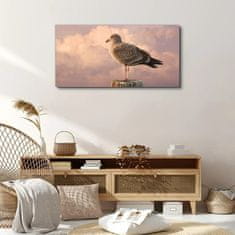 COLORAY.CZ Obraz na plátně Zvířecí pták Seagull Sky 100x50 cm