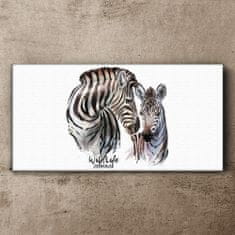 COLORAY.CZ Obraz na plátně Zebra Animal Strips 120x60 cm