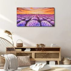 COLORAY.CZ Obraz na plátně Levandulové pole Sunset 100x50 cm