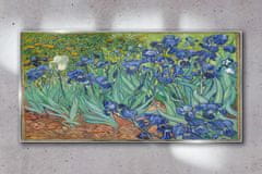 COLORAY.CZ Obraz na skle Van Gogh Irises 120x60 cm