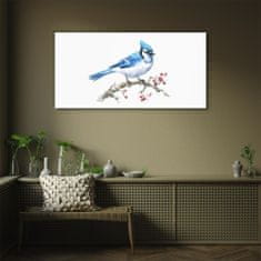 COLORAY.CZ Obraz na skle Abstrakce ovoce zvířecí pták 100x50 cm