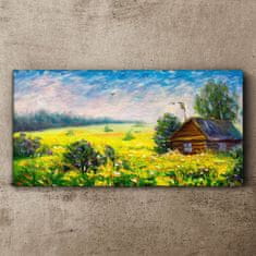 COLORAY.CZ Obraz na plátně Sky květiny Krajina 120x60 cm