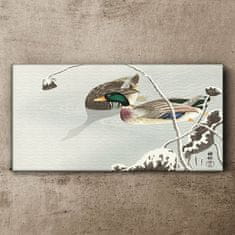 COLORAY.CZ Obraz na plátně Zvířata Birds Water 120x60 cm