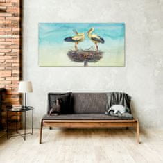 COLORAY.CZ Obraz na skle Zvířata Birds Swans 100x50 cm