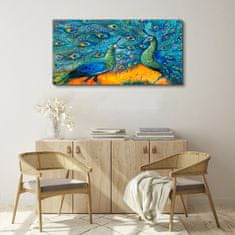 COLORAY.CZ Obraz na plátně Zvířata ptáci Peacock 120x60 cm