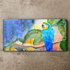 COLORAY.CZ Obraz na plátně Opustí zvířecí parrot 100x50 cm