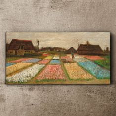 COLORAY.CZ Obraz na plátně Žárovková pole van Gogh 100x50 cm