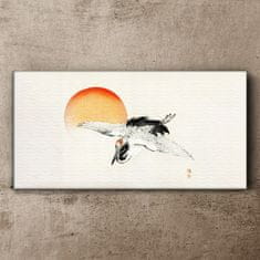 COLORAY.CZ Obraz na plátně Zvířecí pták slunce 120x60 cm