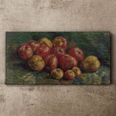 COLORAY.CZ Obraz na plátně Zátiší Van Gogh 100x50 cm