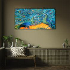 COLORAY.CZ Obraz na skle Zvířata ptáci Peacock 100x50 cm