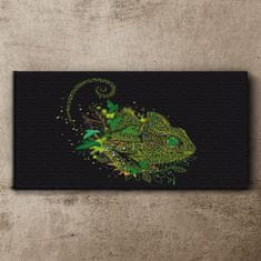 COLORAY.CZ Obraz na plátně Chameleon zvířecí příroda 100x50 cm