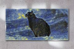 COLORAY.CZ Obraz na skle Abstrakce kočka noční hvězda 100x50 cm