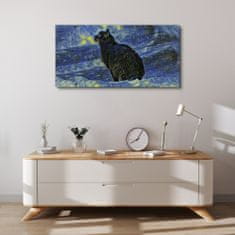 COLORAY.CZ Obraz na plátně Abstrakce kočka noční hvězda 100x50 cm