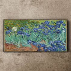 COLORAY.CZ Obraz na plátně Van Gogh Irises 120x60 cm