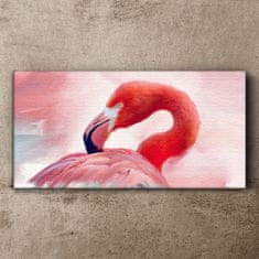 COLORAY.CZ Obraz na plátně Zvířecí pták Flaming 100x50 cm