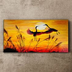 COLORAY.CZ Obraz na plátně Zvířata Birds Sunset 100x50 cm