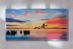 COLORAY.CZ Obraz na skle Lake Birds Sunset 100x50 cm