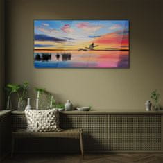 COLORAY.CZ Obraz na skle Lake Birds Sunset 100x50 cm